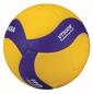 Preview: volleyball-mikasa-vt500w