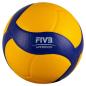 Preview: volleyball-mikasa-v300w