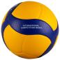 Preview: volleyball-mikasa-v300w
