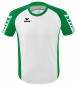 Preview: SIX WINGS TRIKOT Herren Kinder - weiß/smaragd