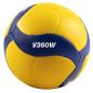 Preview: v360w