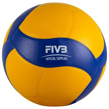 volleyball-mikasa-v390w