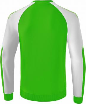 GRAFFIC 5-C Baumwollsweat Kinder - green/weiß
