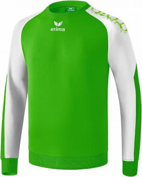GRAFFIC 5-C Baumwollsweat Kinder - green/weiß